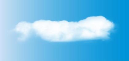 Realistic 3D white clouds on blue sky vector