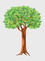 árbol sobre fondo blanco vector