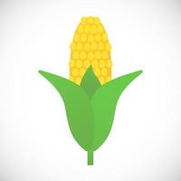 Corn cobs flat style design icon gradient version isolated on white background Fall harvest symbol vector