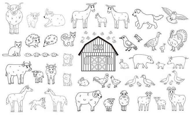 Set of outline cartoon farm animals 2513771 Vector Art at Vecteezy