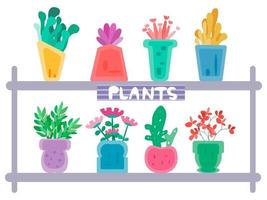 Colorful design plants in pots vector