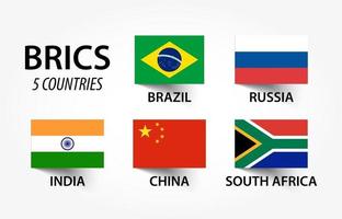 BRICS  association of 5 countries  brazil  russia  india  china  south africa vector