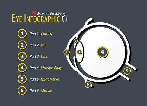 ojo infográfico diseño plano vector