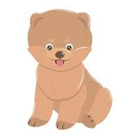 pet little dog animal sitting on white background vector