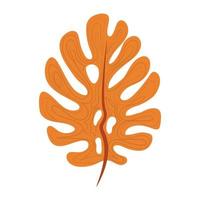 tropical leaf foliage botanical texture abstract style icon vector