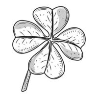 clover plant nature icon sketch isolated vector