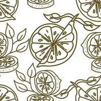 Lemon Fruit Pattern Seamless Vector Template