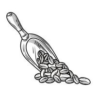 coffee seeds spoon vector