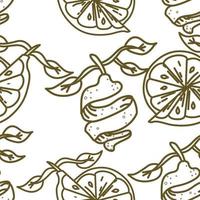 Lemon Fruit Pattern Seamless Vector Template