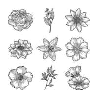 set flowers sketch vector