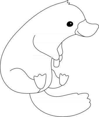 Platypus Kids Coloring Page Great For Beginner Coloring Book 2515861 Vector Art At Vecteezy