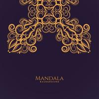 Beautiful mandala design modern  decorative luxury background vector
