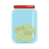 Glass jars closed with lids filled with dried slices of lemons and oranges blanks of dried fruits vector illustration in flat style isolate cartoon