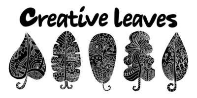 Creative leaves in black and white doodles style design vector