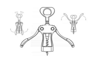 corkscrew in different positions vector