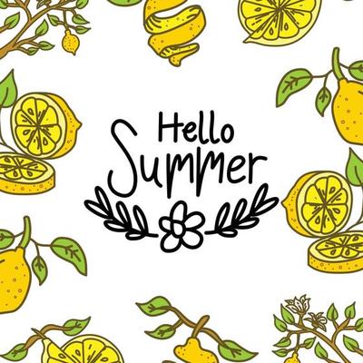 Summer Frame Text Template Vector Background