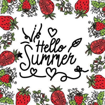 Summer Frame Text Template Vector Background