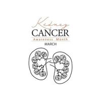 Kidney cancer icon in outline style vector