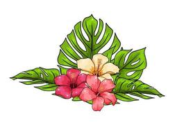 Tropical collection with exotic flowers and carved leaves in cartoon style vector