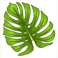 Tropical plants exotic carved green leaf in cartoon style vector