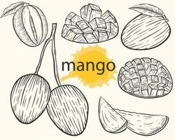 bosquejo del vector del conjunto de mango