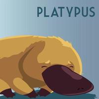 platypus australian animal wildlife native vector