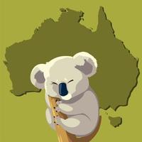 koala on branch tree australian animal wildlife map vector