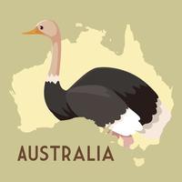 avestruz australiano mapa animal fauna vector