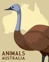 emu australian continent map animal wildlife vector