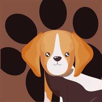 portrait of pet little dog beagel with paw background vector