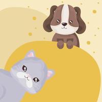 cute gray cat and little puppy domestic animals pet
