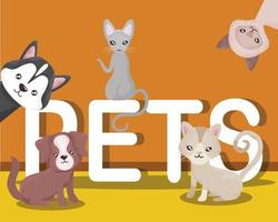 perros y gatos, animales domésticos y mascotas, letras vector