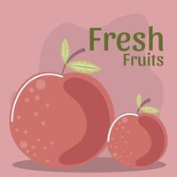fruta fresca manzana comida sana orgánica vector