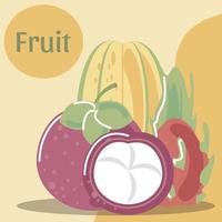 mangosteen pitahaya and papaya fresh fruit organic healthy food vector