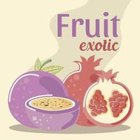 pomegranate and passion fruit fresh fruit exotic vector