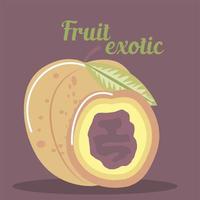 melocotón fruta fresca comida sana orgánica vector