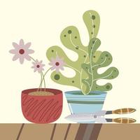 home garden flowers succulent plant in pot and scissors vector