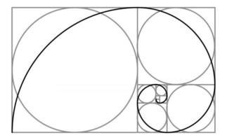 Círculos de proporción áurea de Fibonacci y plantilla en espiral.