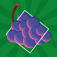 comida uvas frescas vector