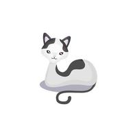 pet white and black cat animal domestic white background