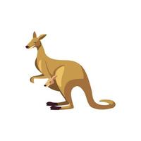 kangaroo portrait of wild australian animal isolated on white background vector
