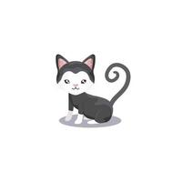 pet cute cat animal domestic white background vector