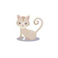 pet little cat animal domestic white background vector