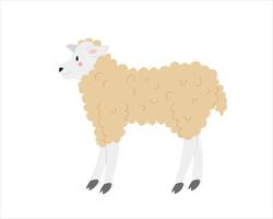 linda oveja rizada sobre un fondo blanco imagen vectorial en dibujos animados estilo plano decoración para niños carteles postales ropa y decoración de interiores vector