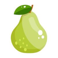 Pear design icon vector