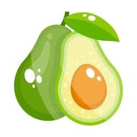 diseño de un aguacate vector