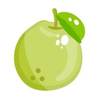 Guava fruit with leave vector