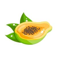semillas de papaya negra mexicana vector