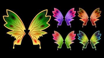 Set colorful butterfly wings isolated vector