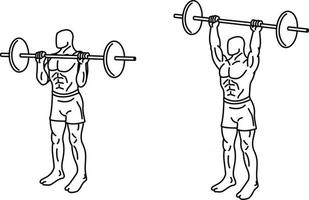 Push press Exercises and training with weights vector